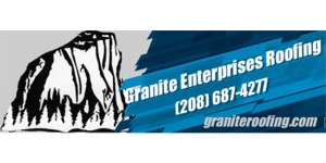 Company Logo (if available)